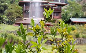 Los Quetzales Ecolodge & Spa